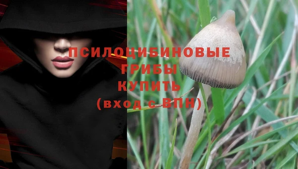 ГАЛЛЮЦИНОГЕННЫЕ ГРИБЫ Балабаново