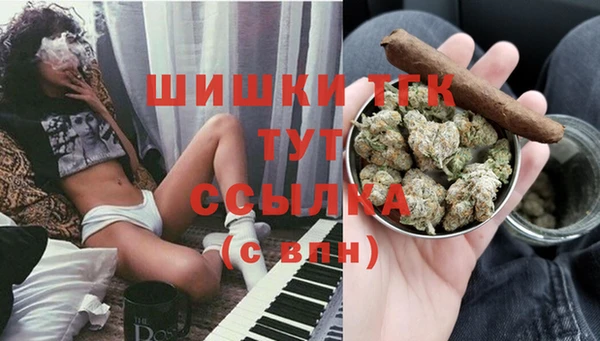 ГАЛЛЮЦИНОГЕННЫЕ ГРИБЫ Балабаново
