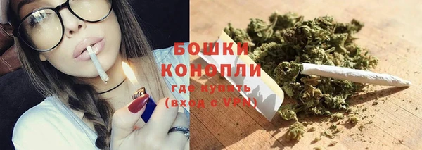 ГАЛЛЮЦИНОГЕННЫЕ ГРИБЫ Балабаново