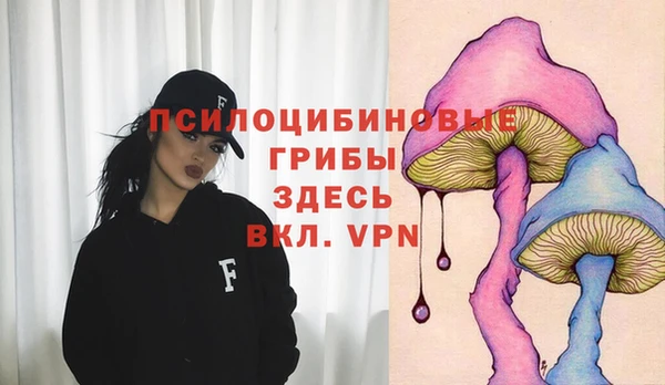 СК Балахна